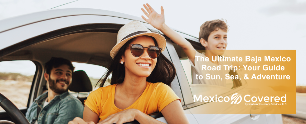 Baja Mexico Road Trip
