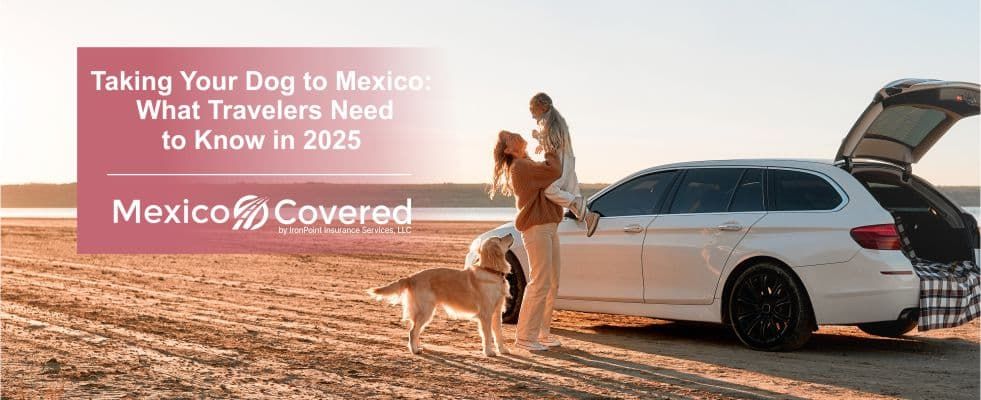 Taking Your Dog to Mexico