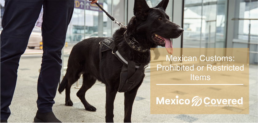 Prohibited and Restricted Items