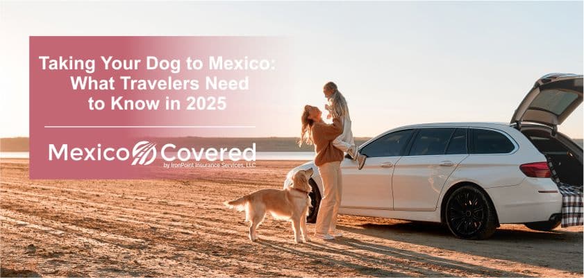 Taking Your Dog to Mexico